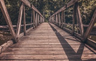 Wooden bridge leading to forest path